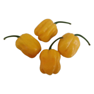 Habanero Lemon Chili Seeds