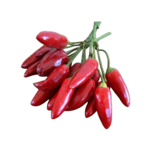 Peperoncino Calabrese Chili Seeds