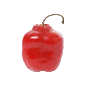 Rocoto Manzano Red Chili Seeds