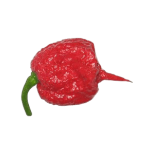 Carolina Reaper Red Chili Seeds