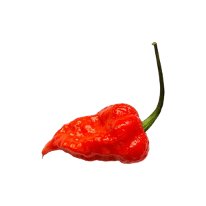 Ghost Pepper Red Chili Seeds