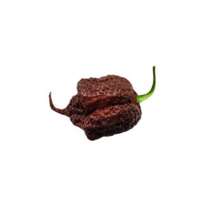 Carolina Reaper Chocolate Chili Seeds
