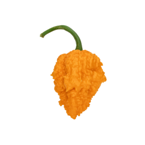 Fried Chicken Pepper Chili Seeds