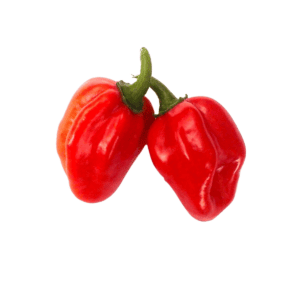 Red Savina Habanero Chili Seeds