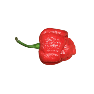 Scorpion Pepper Red Chili Seeds