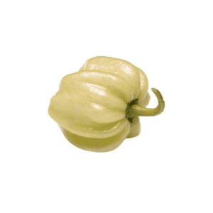 Scotch Bonnet White Chili Seeds