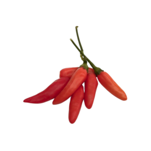 Tabasco Pepper Chili Seeds