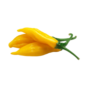 Aji Limo Chili Seeds